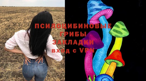 трава Верхнеуральск