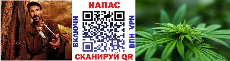 купить наркотики сайты  Верхняя Пышма  Бошки марихуана конопля 